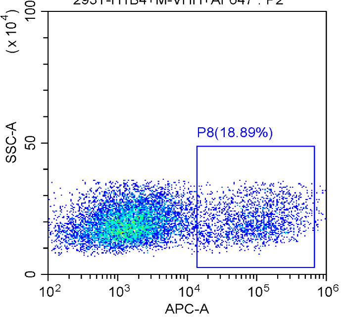 VHH2 GMLS-Tag002-Ab01