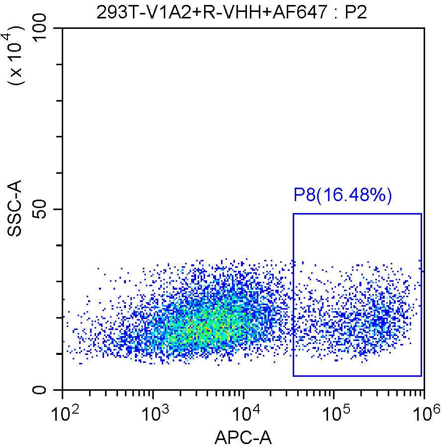 VHH3 Anti-VHH Company G